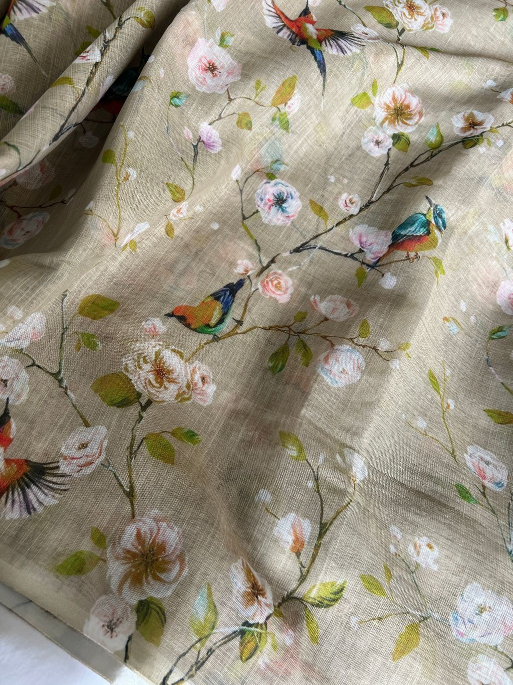 IMG_2527-1736735777061