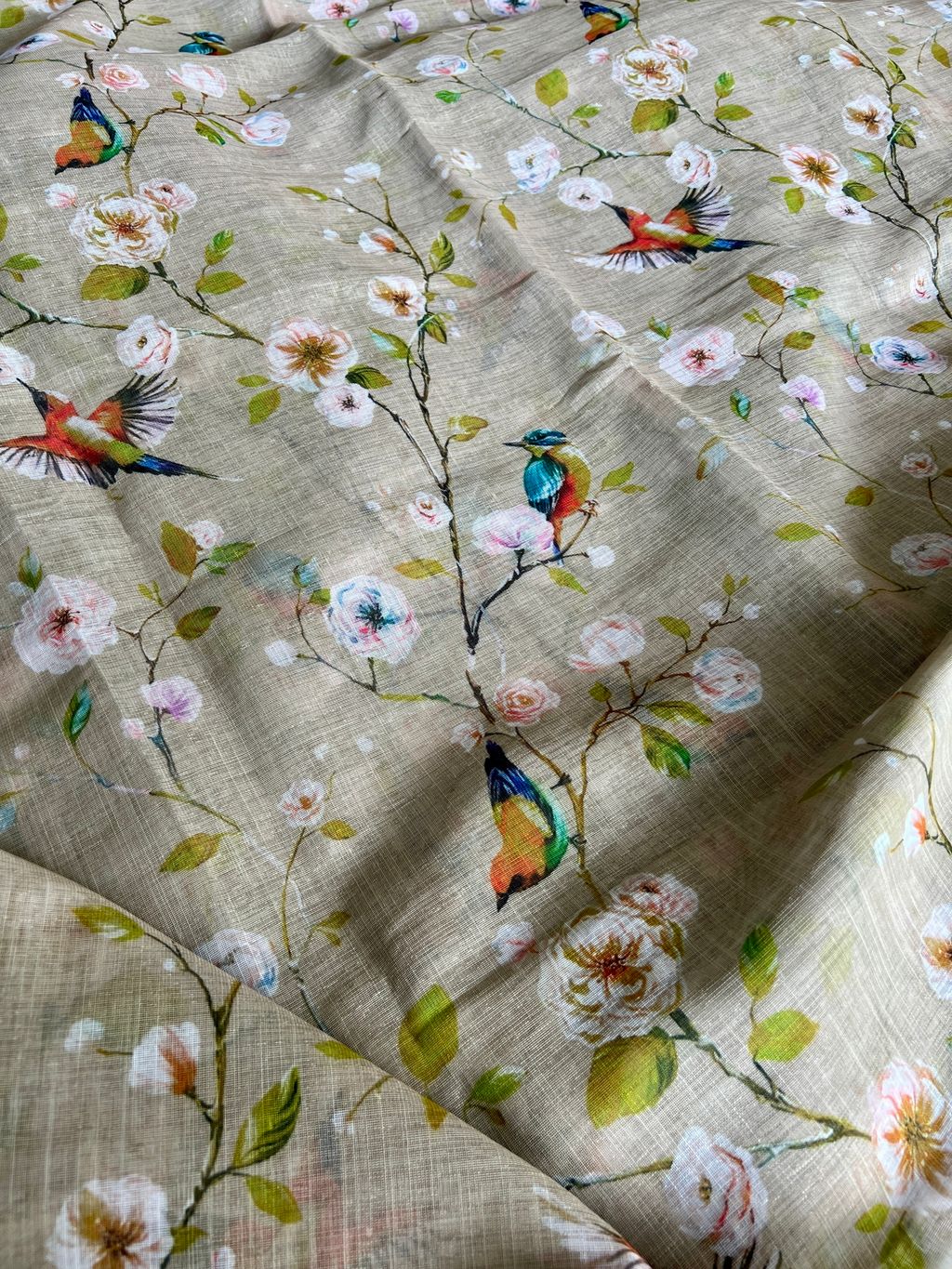 IMG_2529-1736735777080