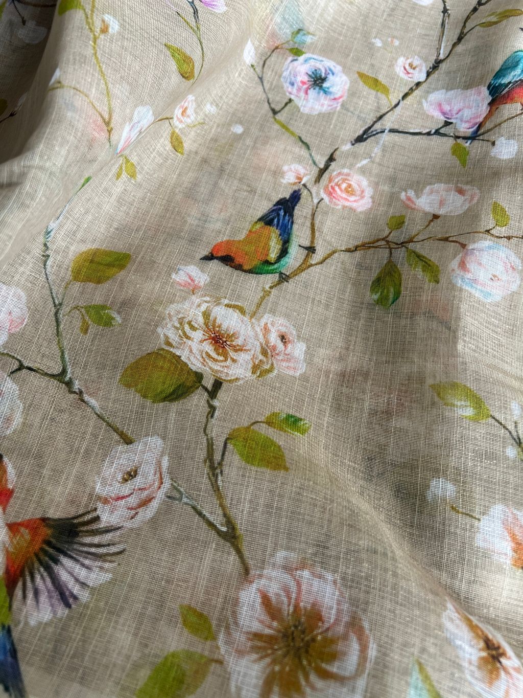 IMG_2528-1736735777072