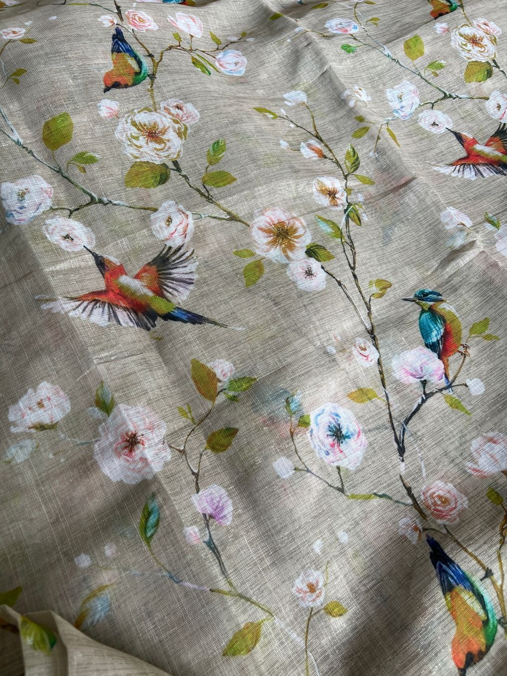 IMG_2530-1736735777067