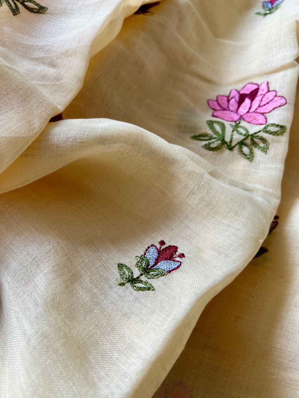 IMG_2557-1736736417661