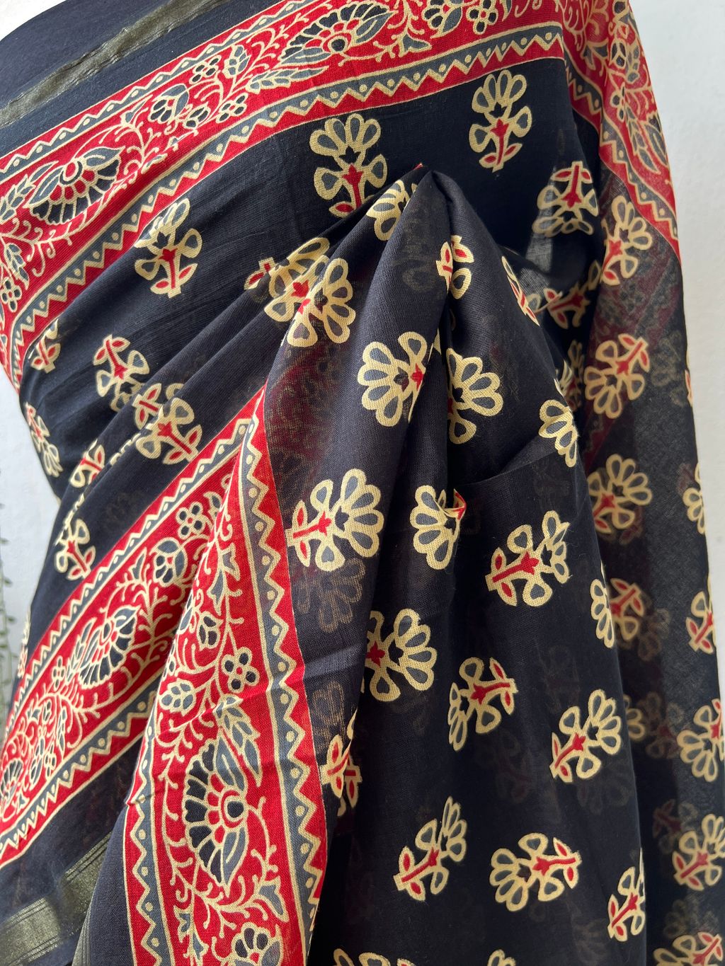 IMG_2586-1736746270185