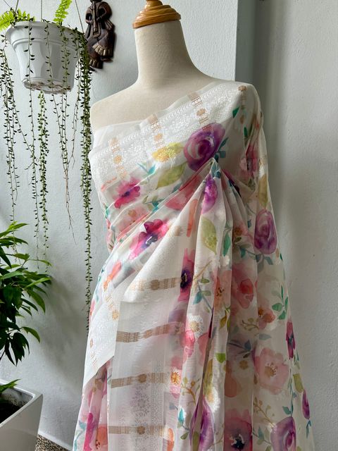 IMG_3183-1737345184527