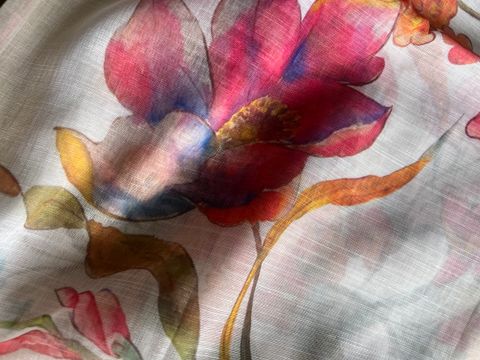 IMG_3484-1737689272941