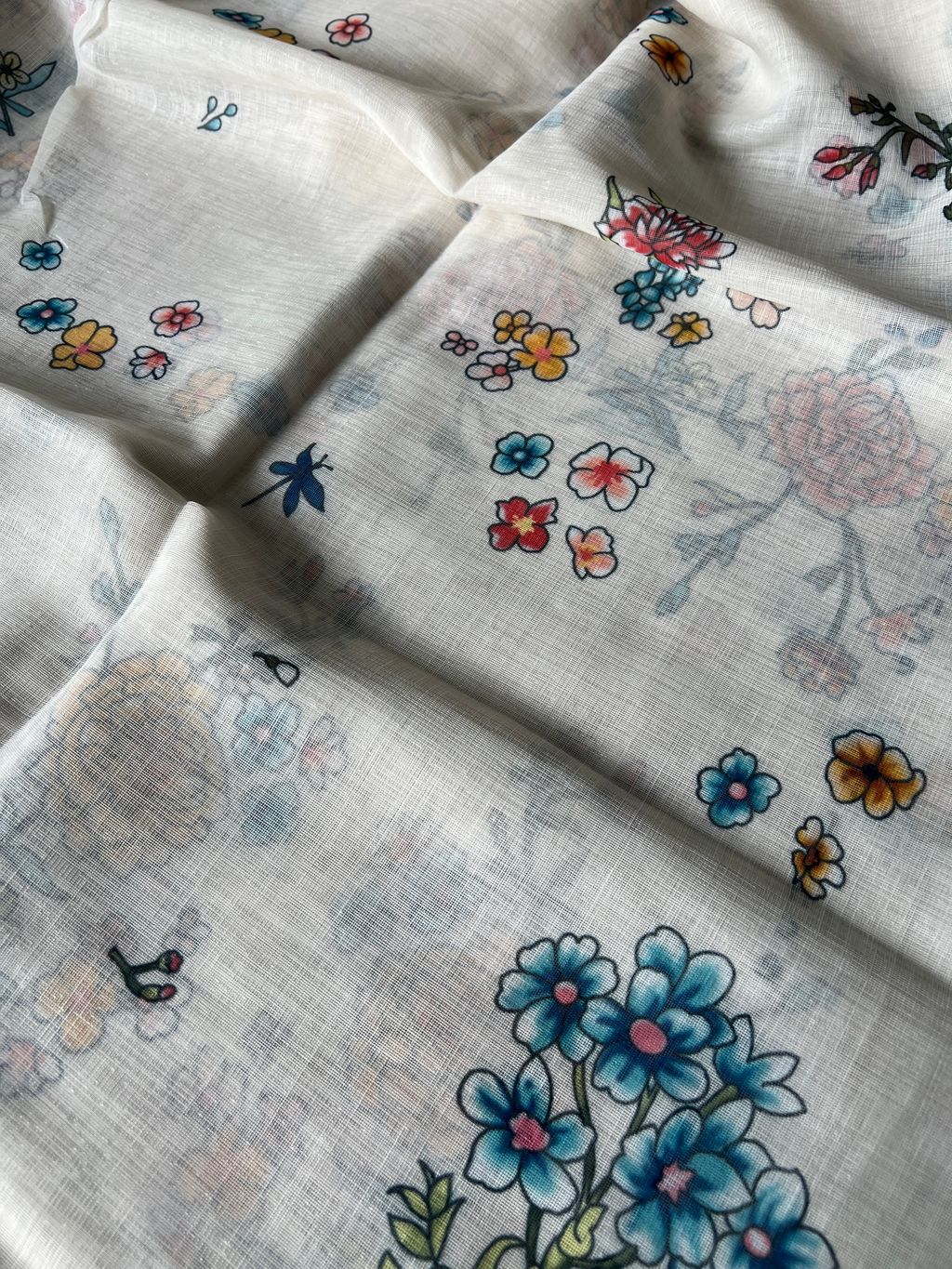 IMG_3494-1737689347035