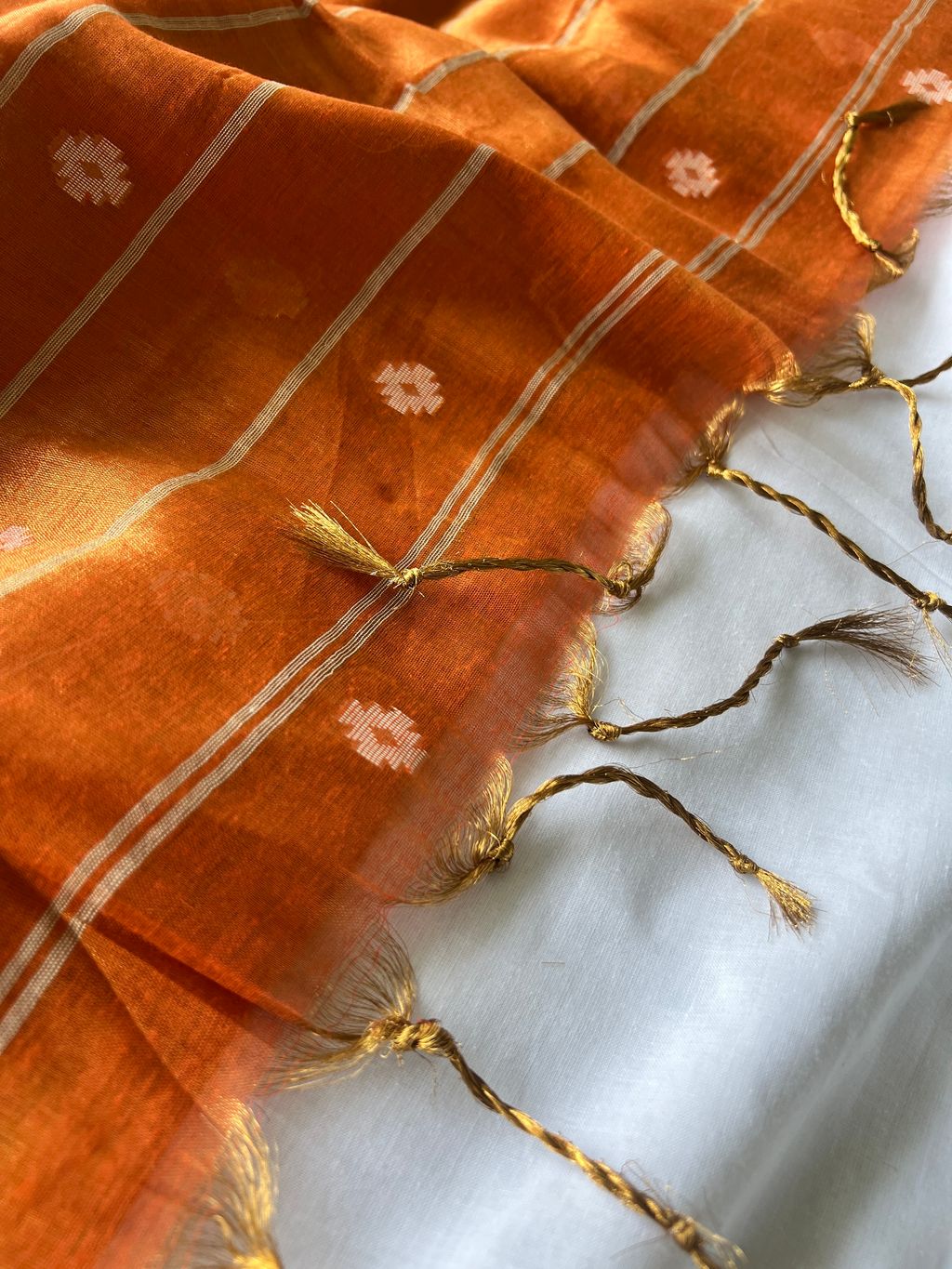 IMG_6319-1739411249261