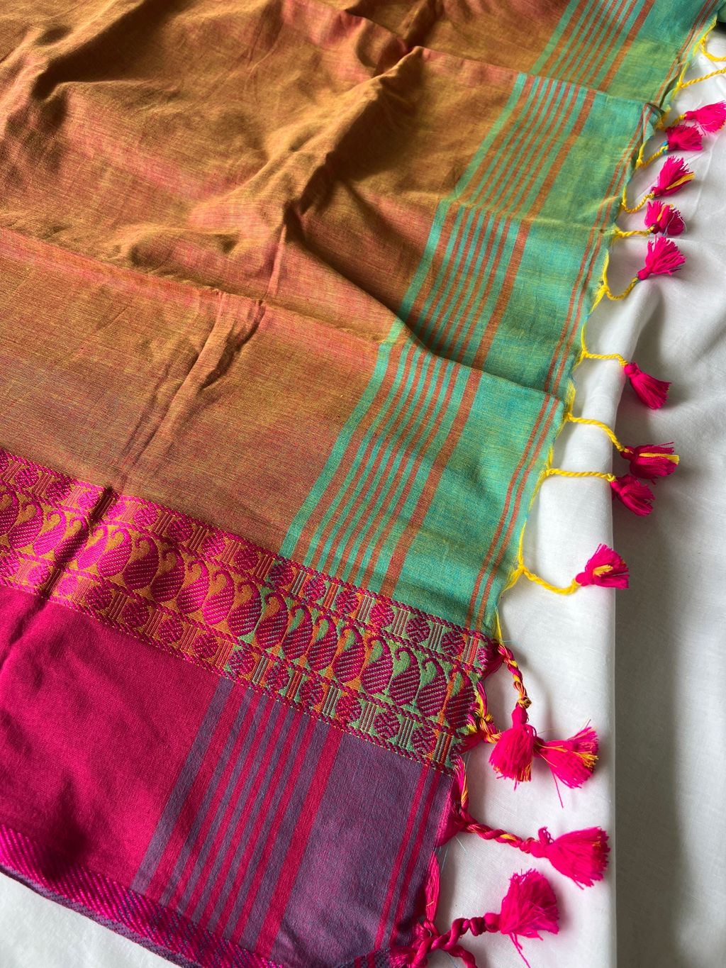 IMG_1028-1735531659489