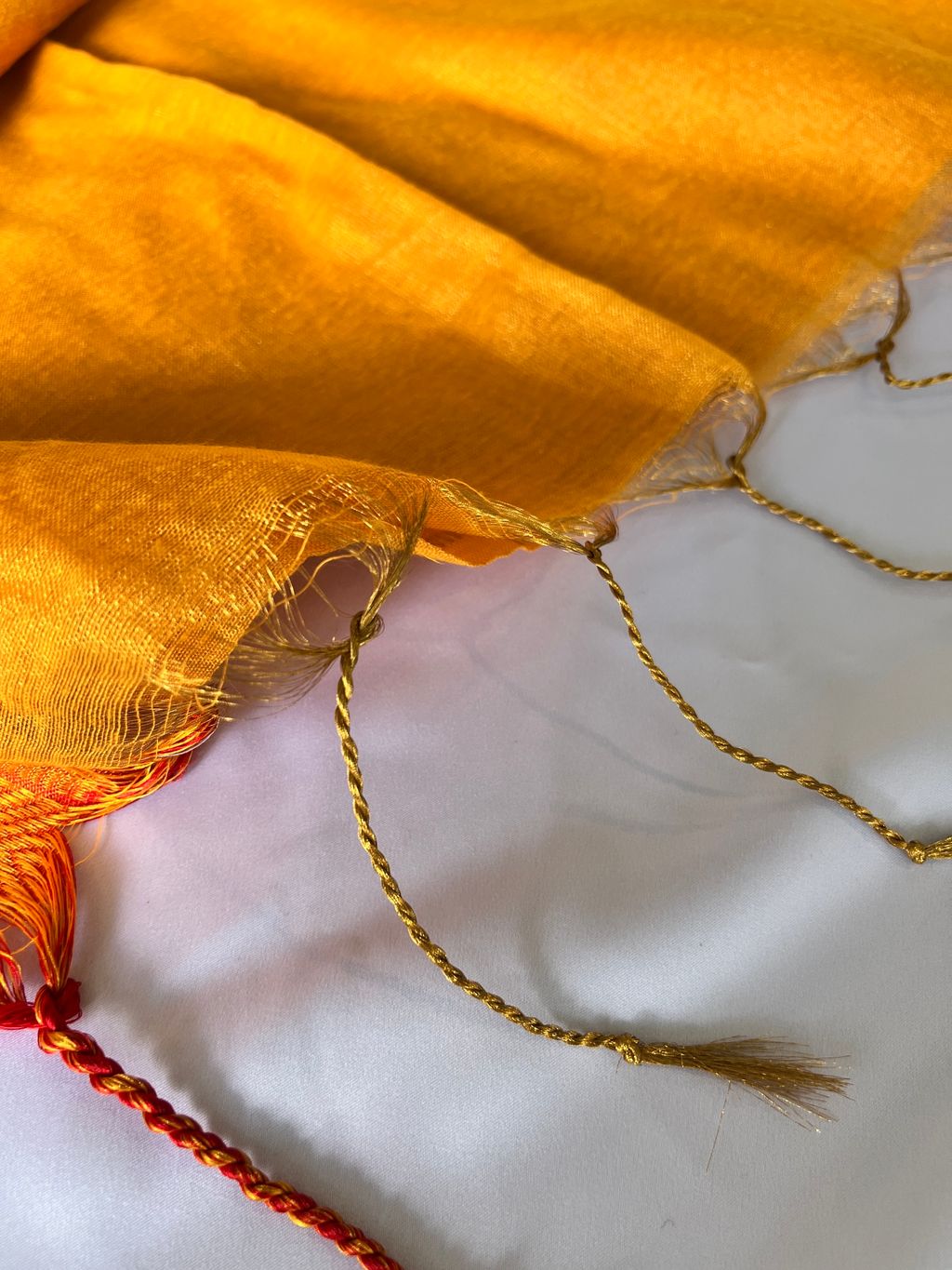 image_B320BFB0-5CA8-4D06-A34A-6890C7B49319_1740970710