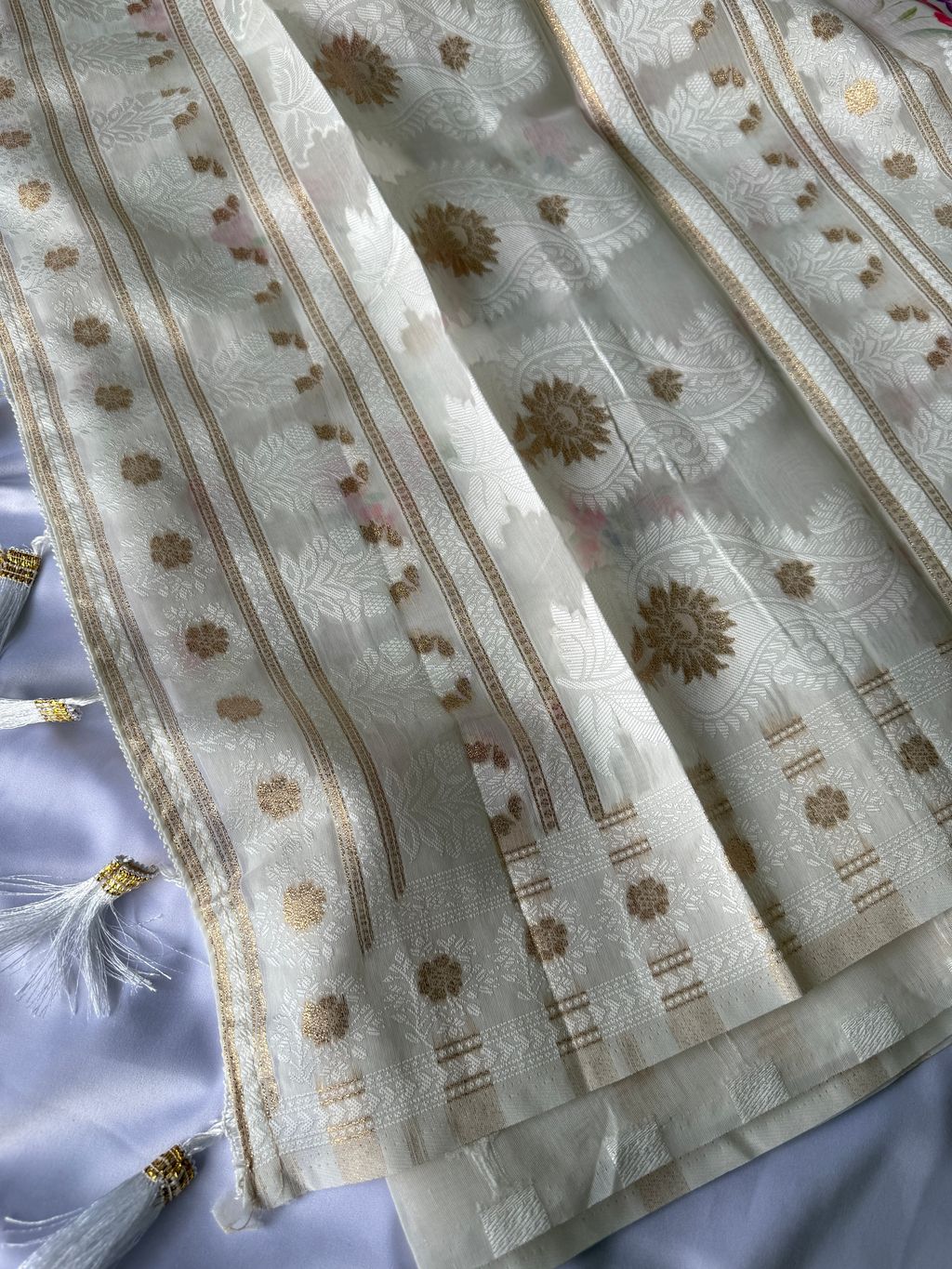 image_24AF0900-9108-4A3C-870C-8473A2E09334_1745372857