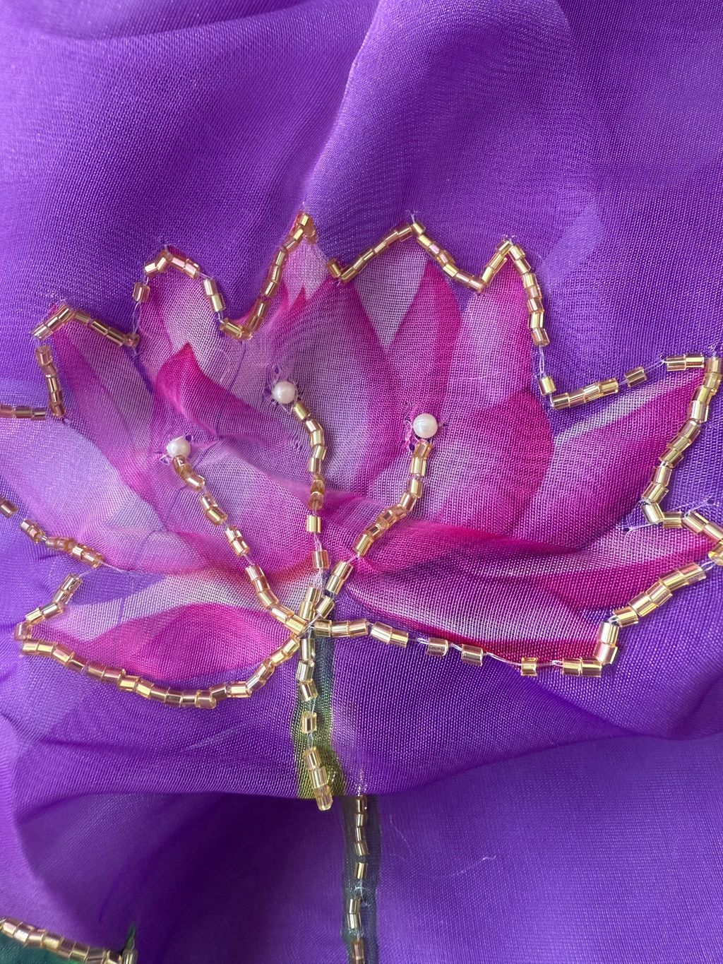 image_928FF7BB-75AC-4446-B0BA-9C12FADA6182_1746699626