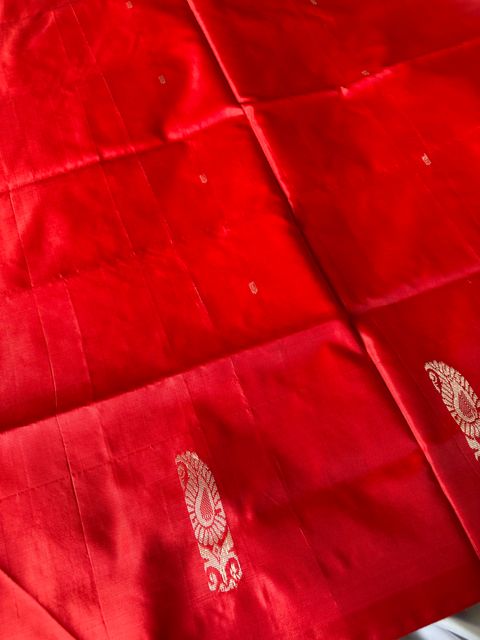 image_4C6FFCAE-B9D4-41E1-A77D-16041DA20F02_1750154288