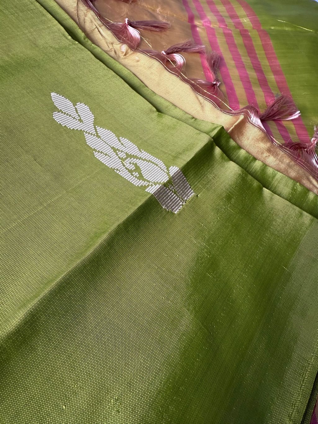 image_66310616-9833-4954-B027-BC972C9B10E1_1750208190