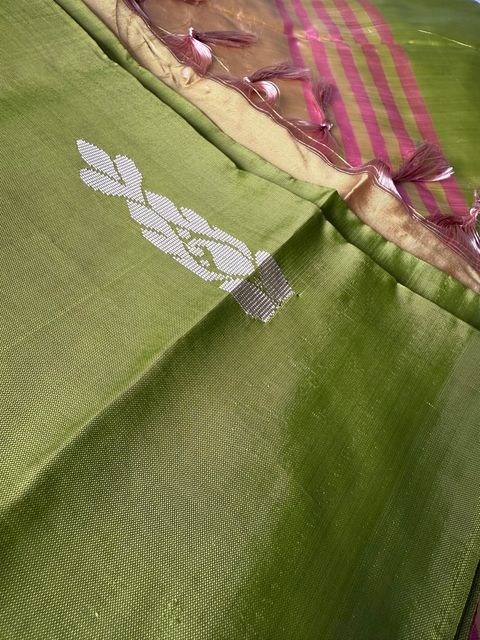 image_66310616-9833-4954-B027-BC972C9B10E1_1750208190