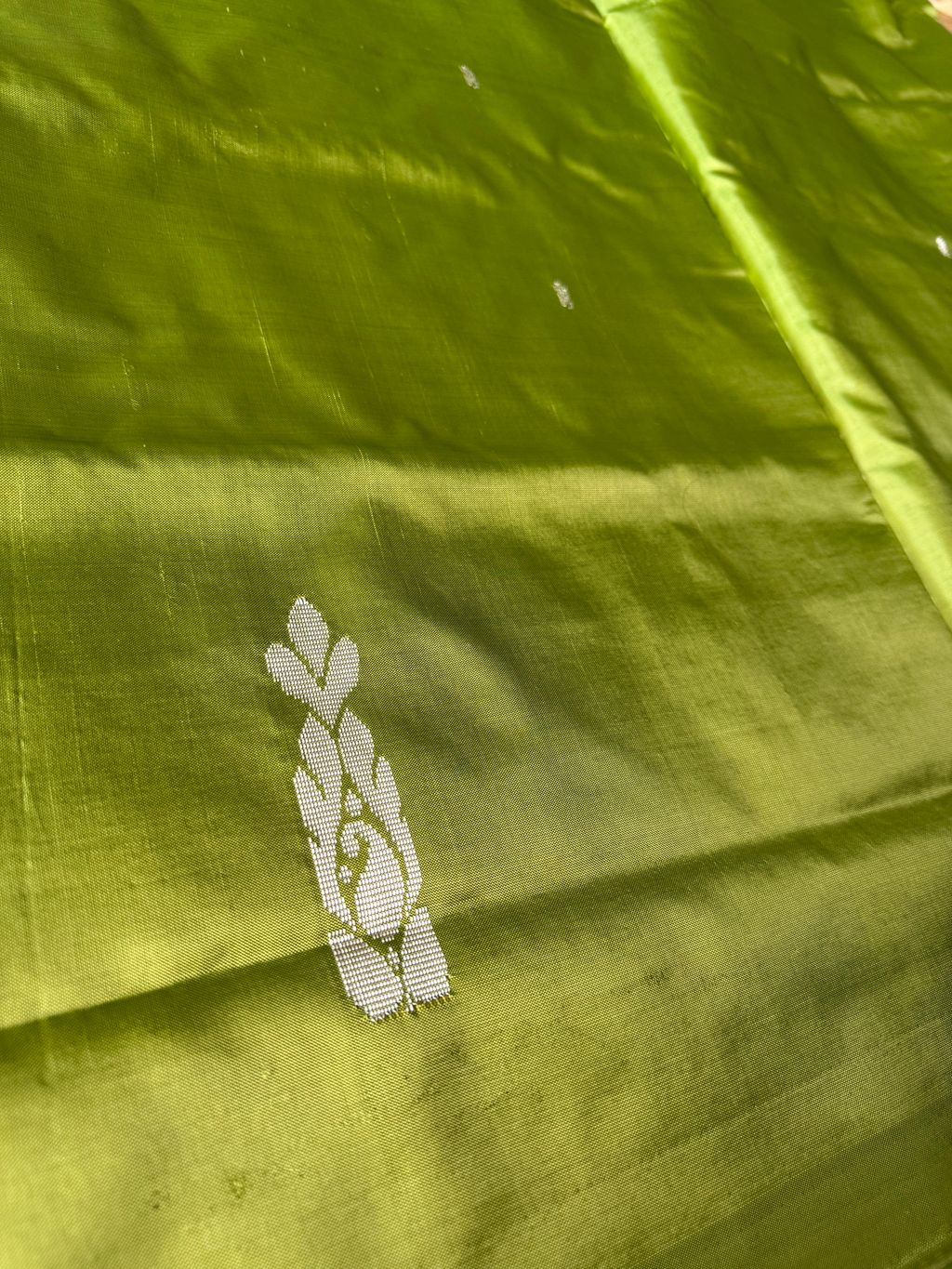 image_FDE40449-CC54-4635-BC5D-745E52047053_1750208190