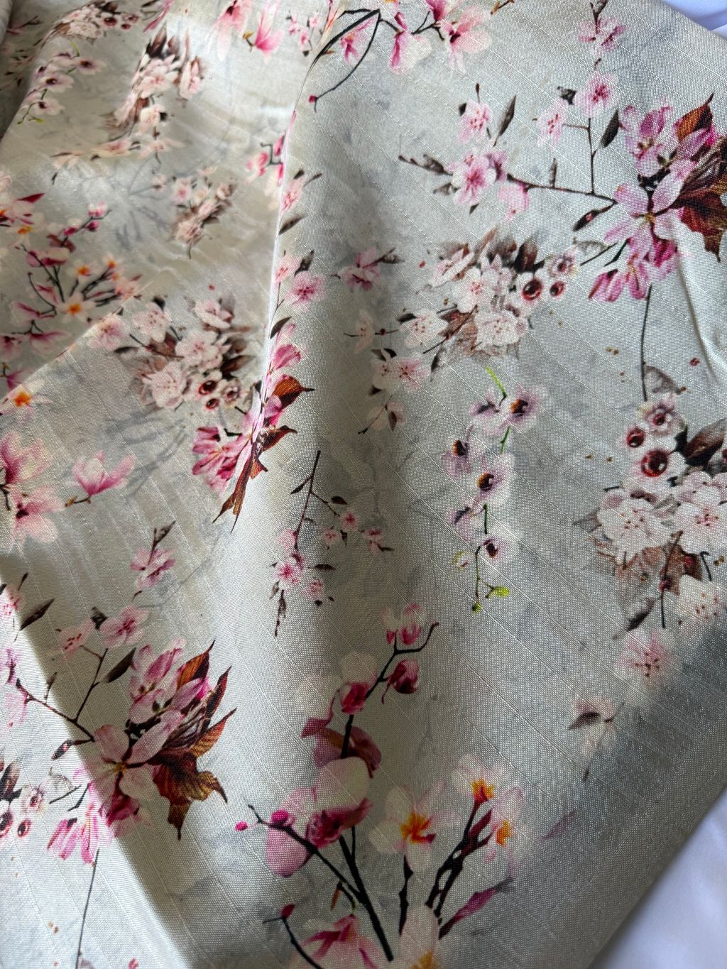 image_08B6DD91-3204-4592-B26C-1EAC80BFE384_1752803452