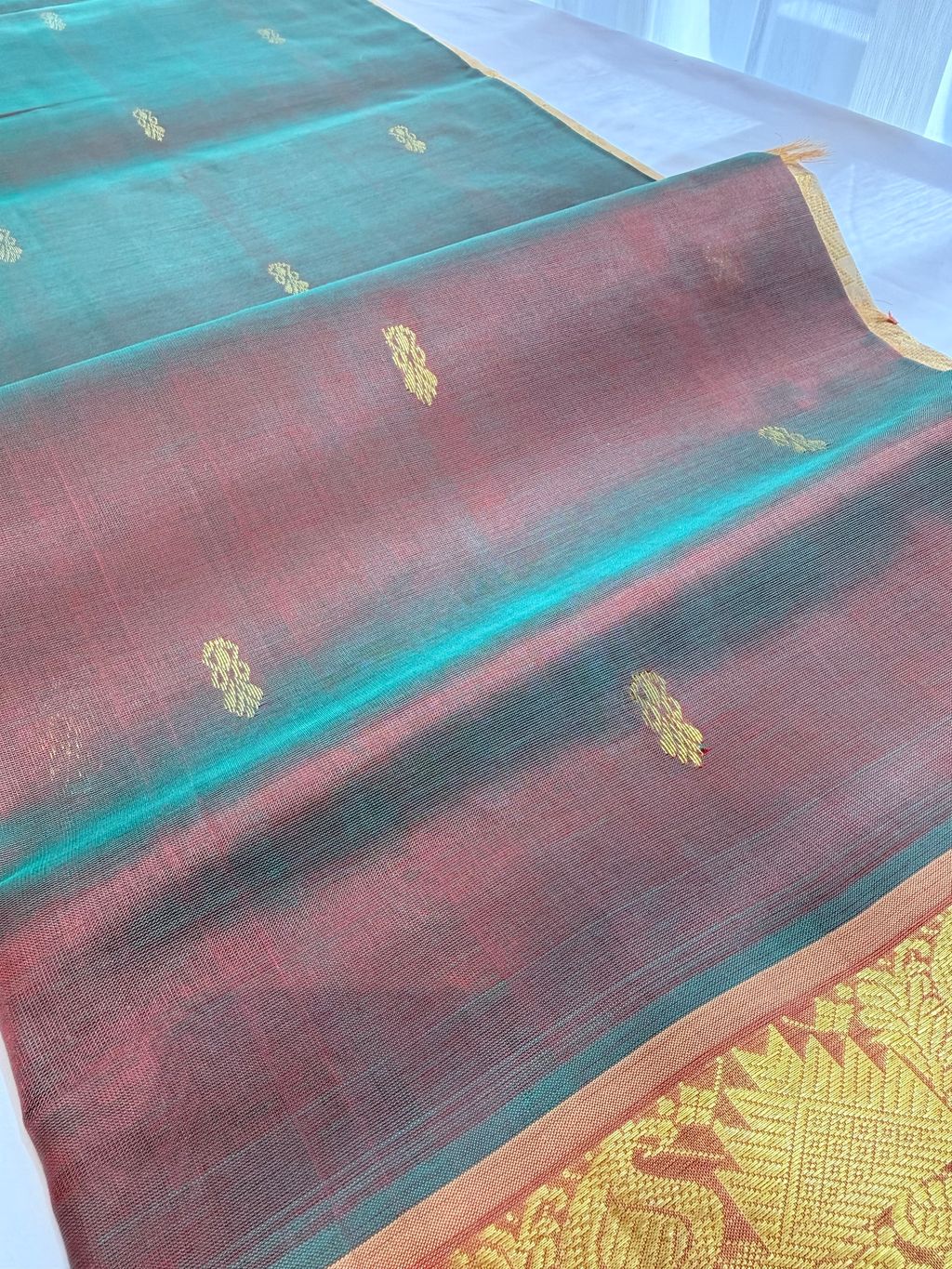 image_FCA288AE-569B-4200-ABE4-92224C5E075F_1769406777