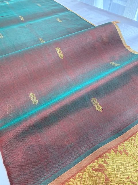 image_FCA288AE-569B-4200-ABE4-92224C5E075F_1769406777