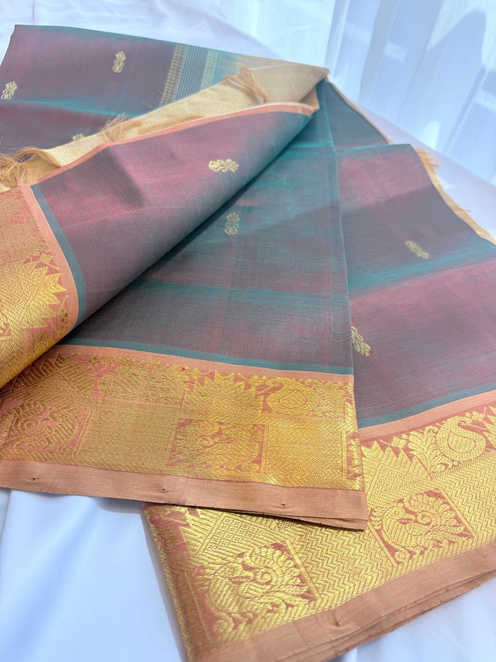 image_78F66BC2-522A-4D04-A7BB-910A514667C2_1769406790