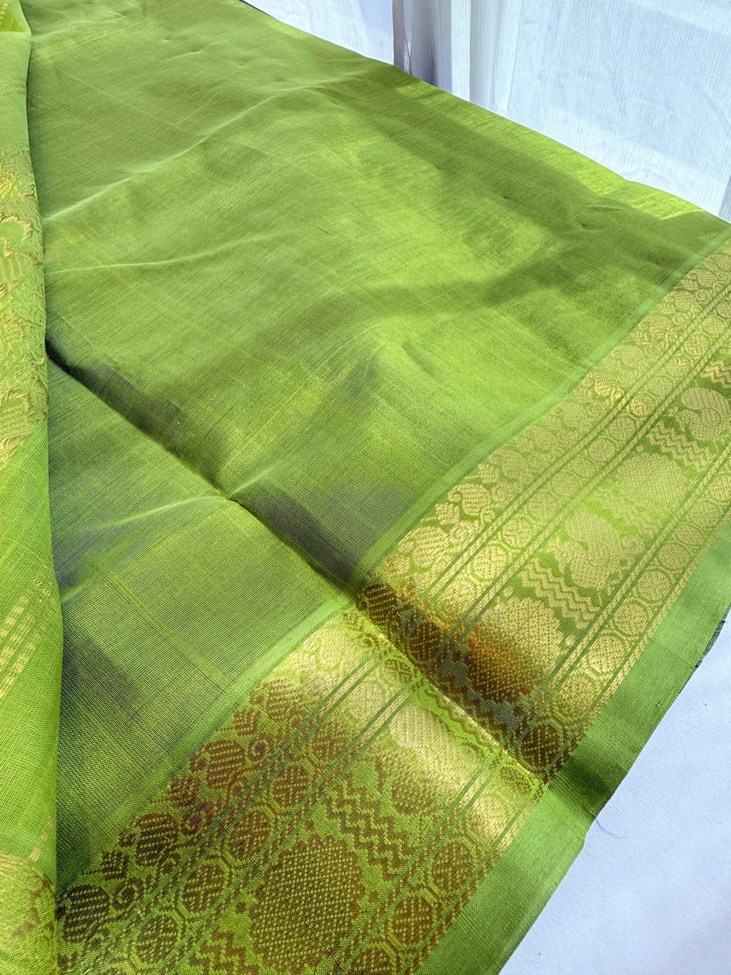 image_C136AFF2-65F7-4B75-9FE7-896A802E6D45_1769406860