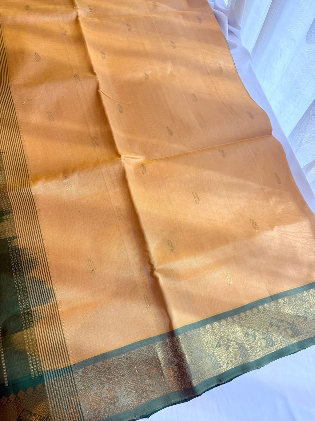 image_342F3FCF-EFFA-4CEF-B6DD-DC7D50F183C8_1769408663