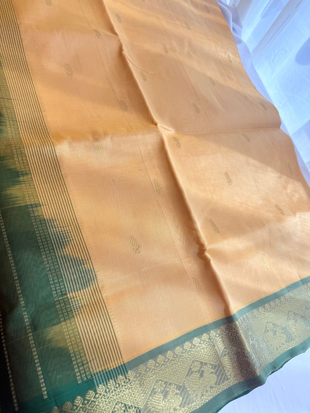 image_C76CD7BF-D18E-429B-89D7-D36FD249F7EB_1769408663