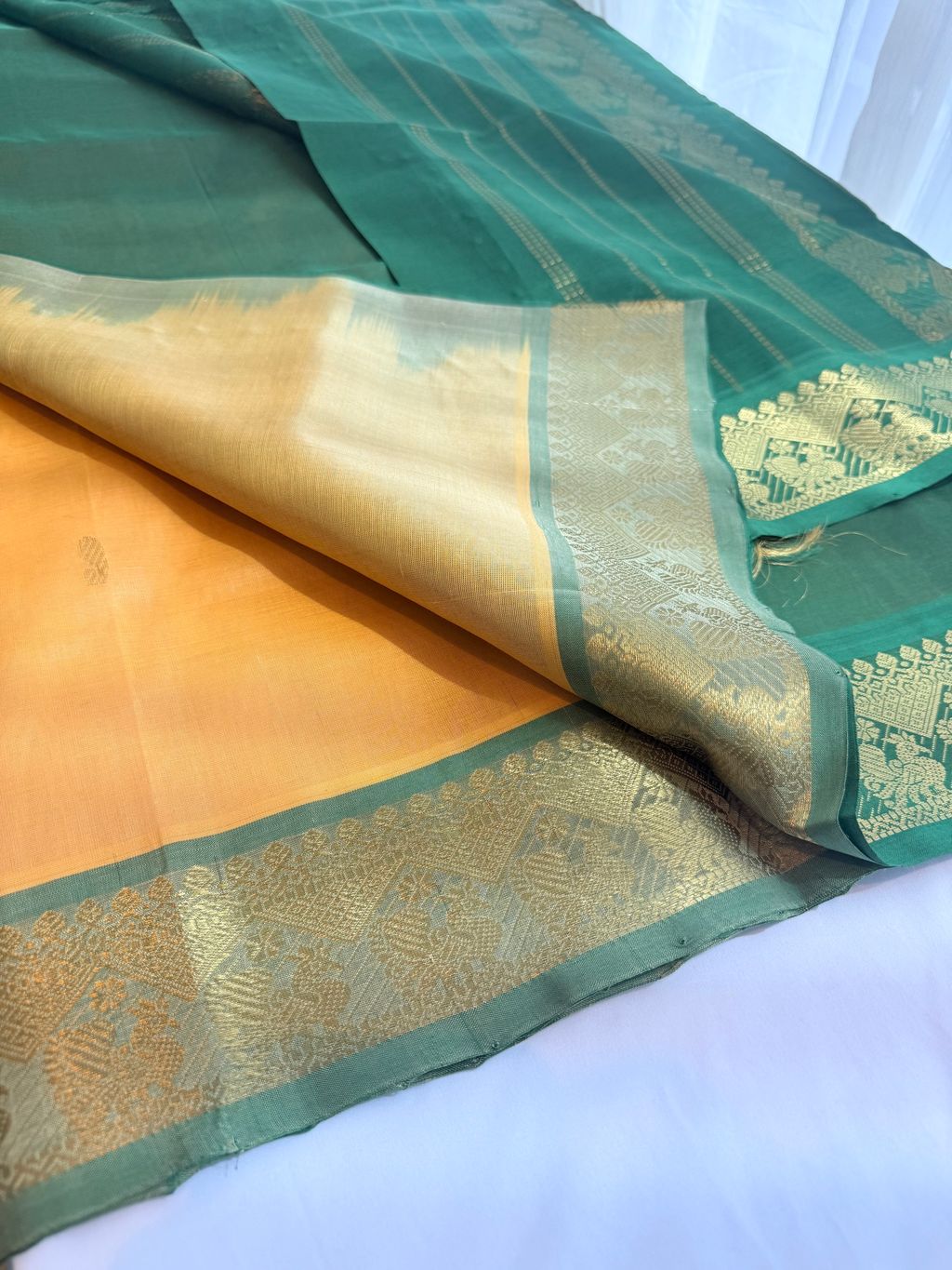 image_7DD83518-8CD1-4E81-8B0A-8F2031B22A2D_1769408663