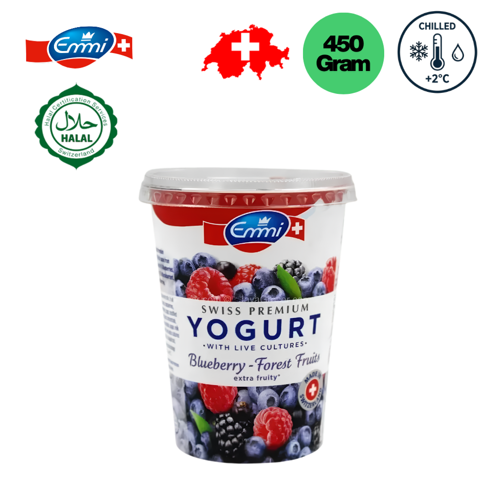 EMMI Extra Fruity Blueberry Forest yogurt - 450gm