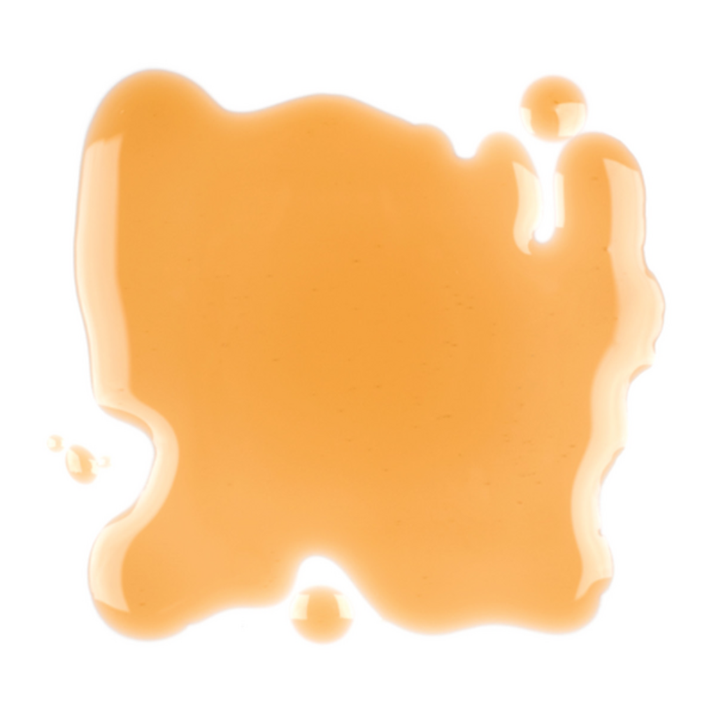 ROLAND 100% Pure Maple Syrup (4)