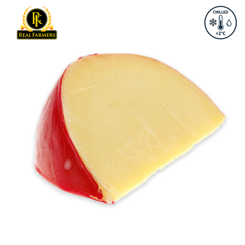 DUTCH Edam Cheese - Block  Chilled CHZ-CH-RF10200 (1)