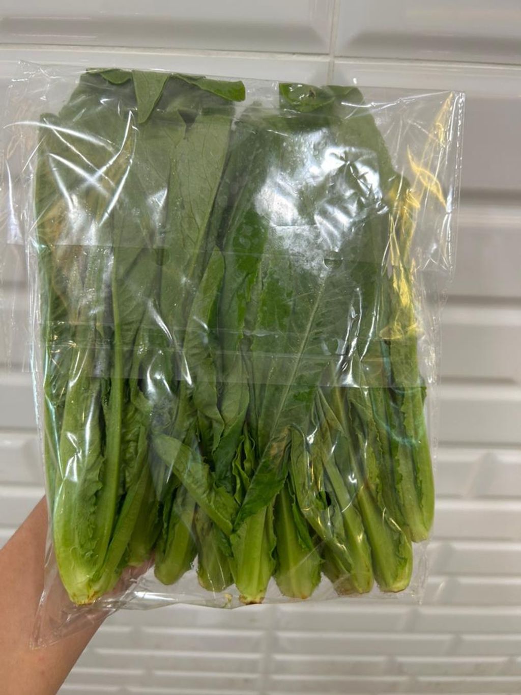 9a684041-ceca-4628-9ee5-2011f84a3c71