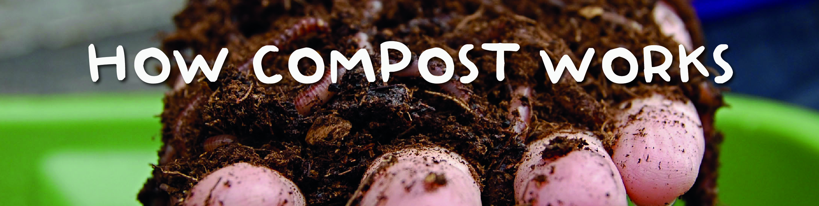 How Compost Works - Get the Dirt on Dirt