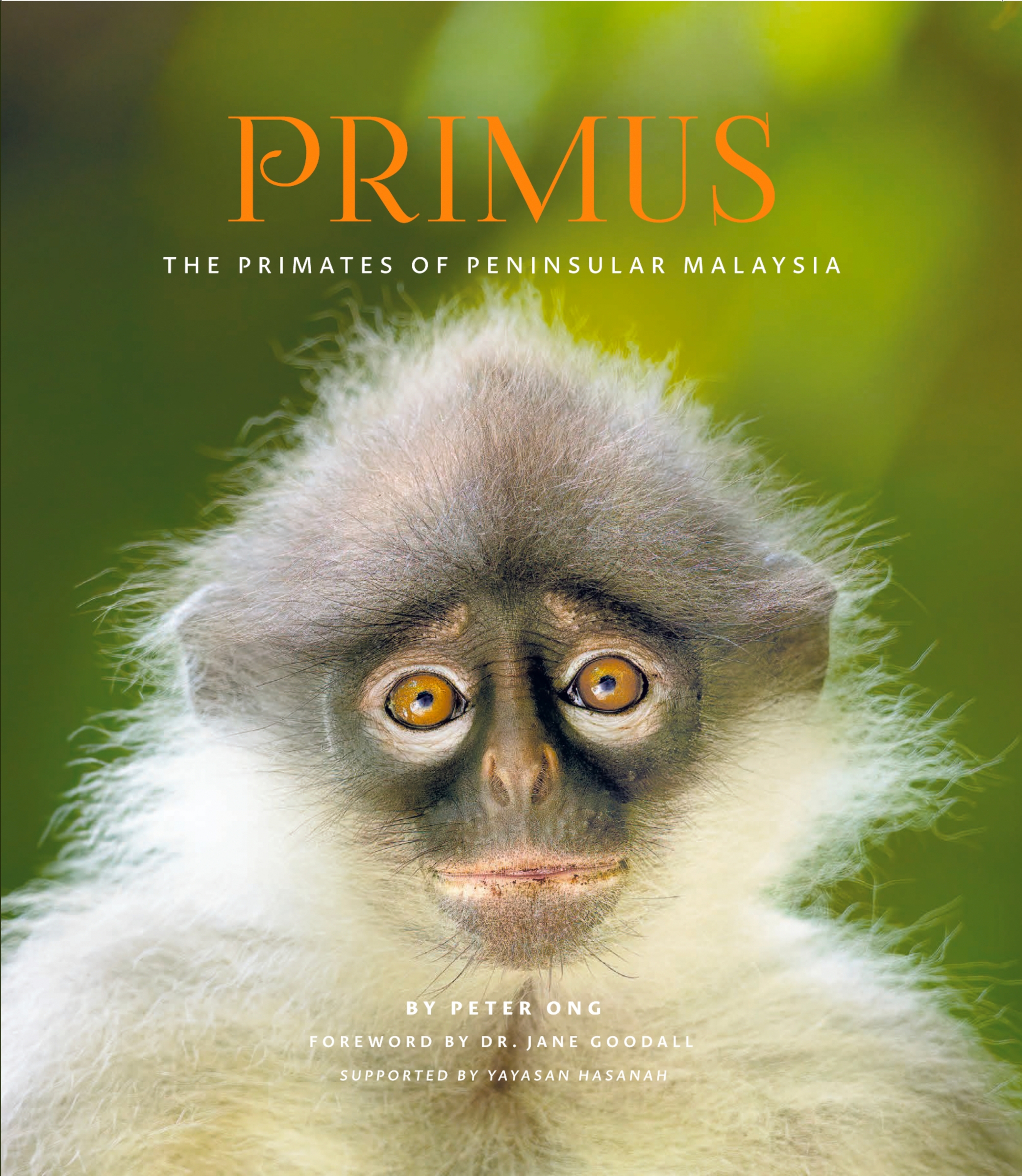 Primus (paperback cover)_page-0001 (1)