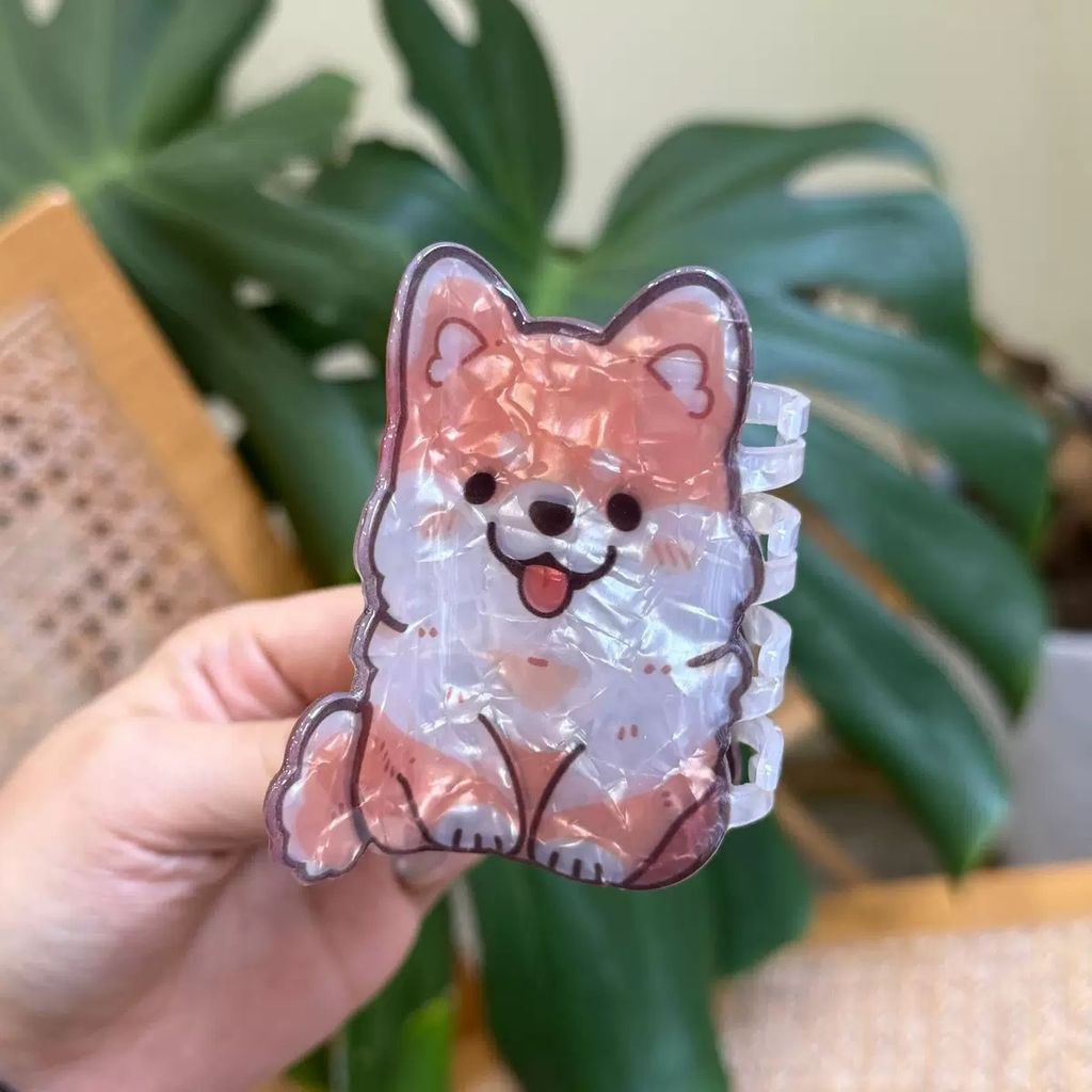 image_9080E49A-D603-4F47-9D85-1E1CE60BEAB1_1763905359