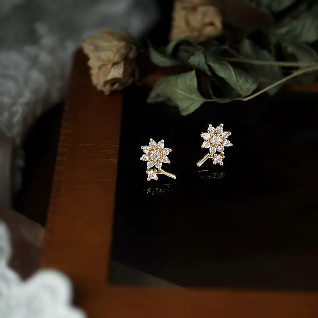 image_6D147A2C-3D6A-489F-AD66-3F0597B19192_1764411371