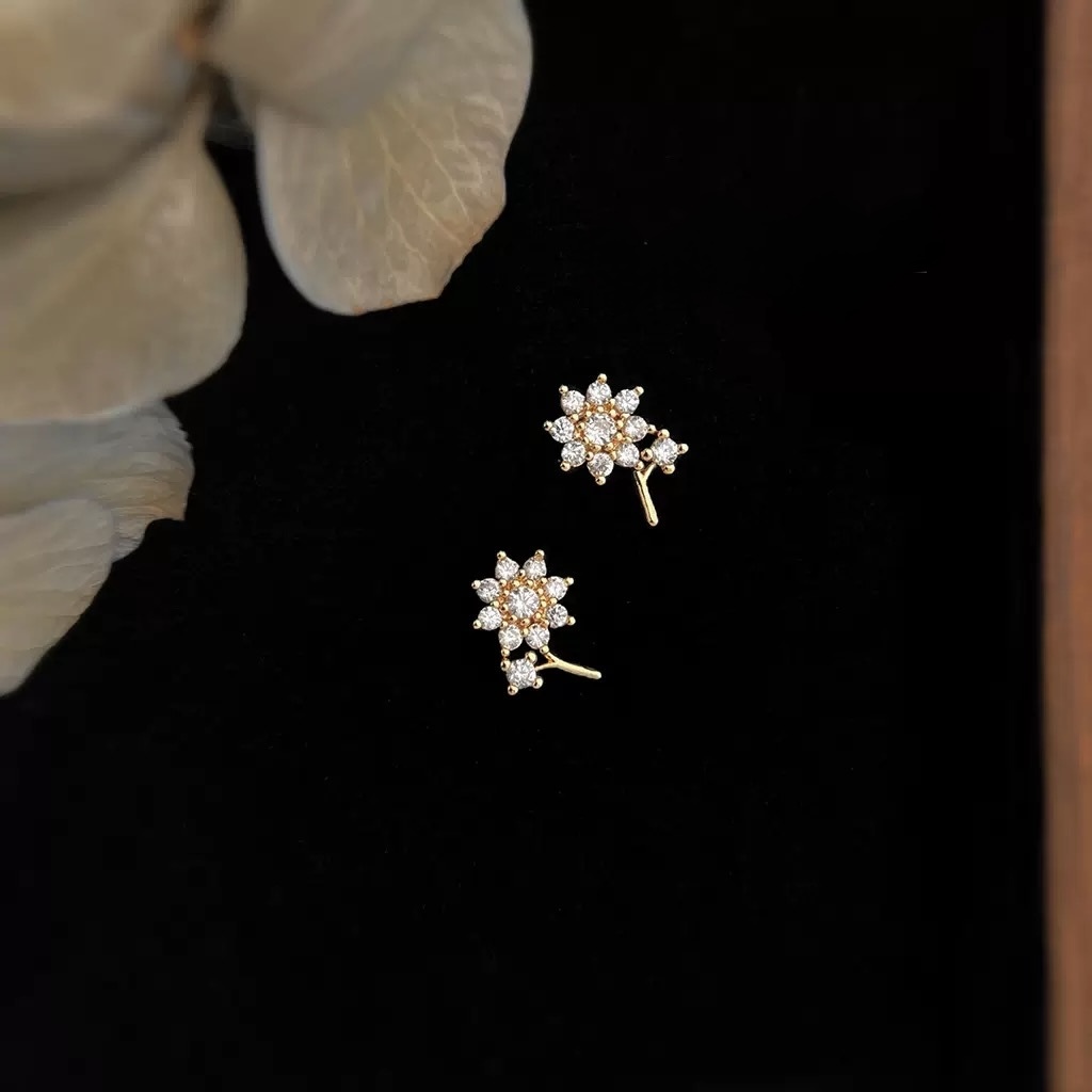 image_070521B8-0A0E-43DA-A3C8-453918DD7616_1764411371