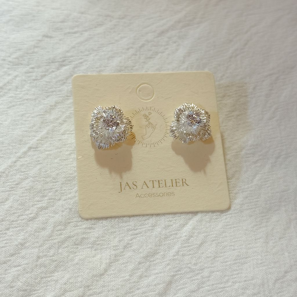 image_C363392B-BA0F-47ED-BD27-2C8AB43589C1_1767529307