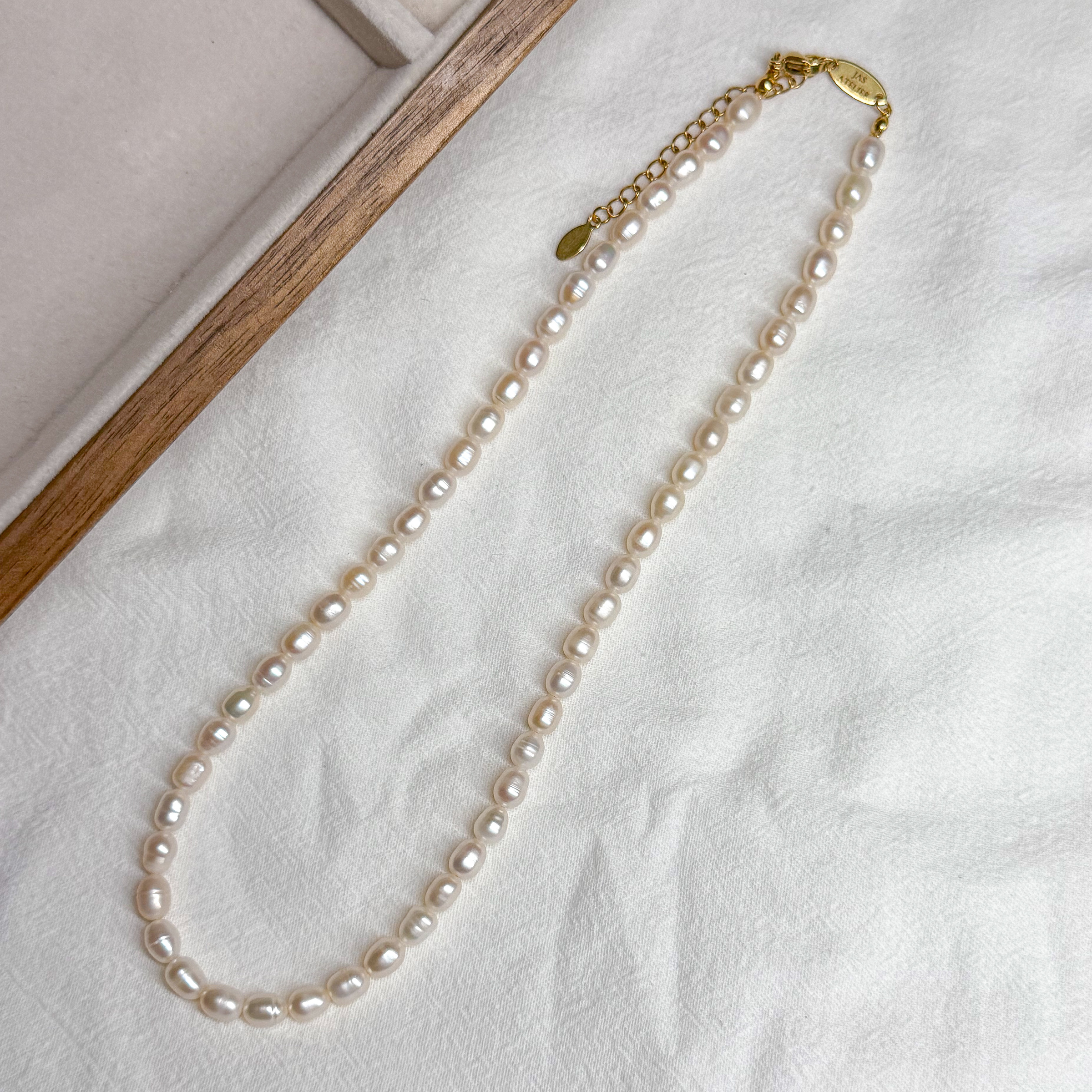 IMG_1123-1735277046621