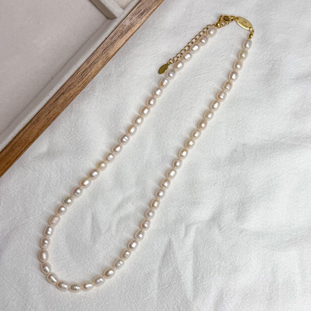 IMG_1123-1735277046621