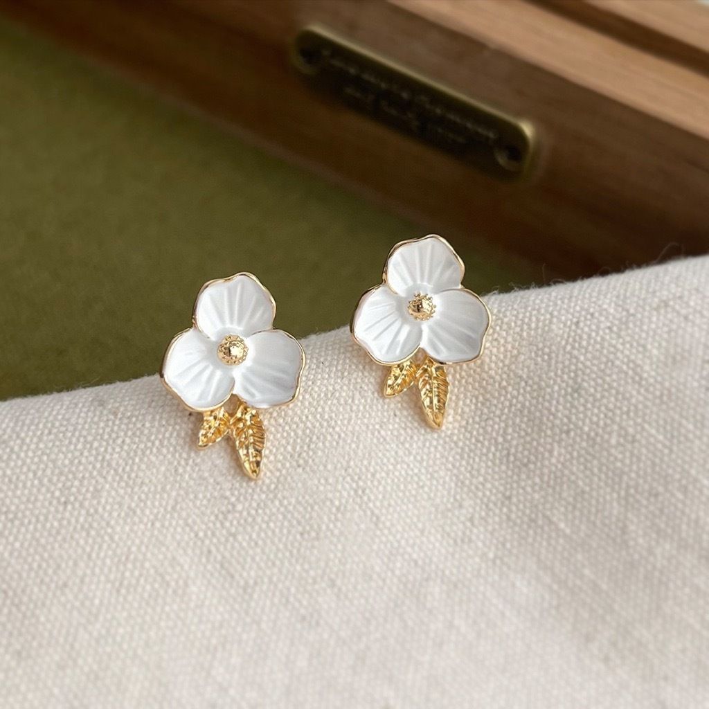 image_EEC6AB1B-1DE9-4F93-93BD-A13AFF34D02D_1769071228