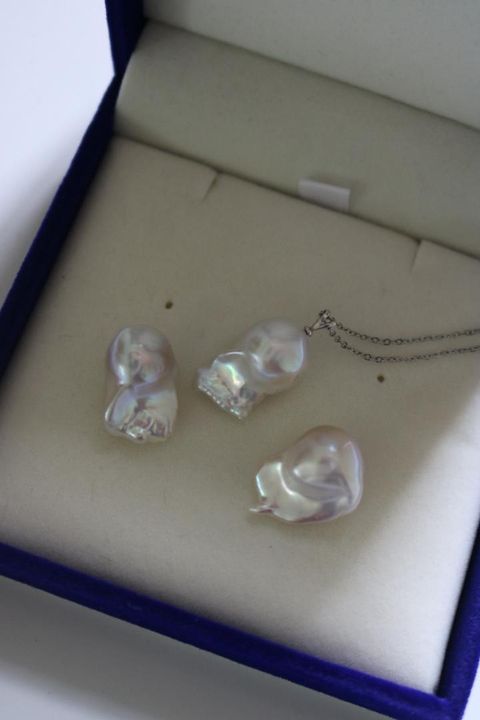 WhatsApp Image 2026-01-28 at 5.40.10 PM