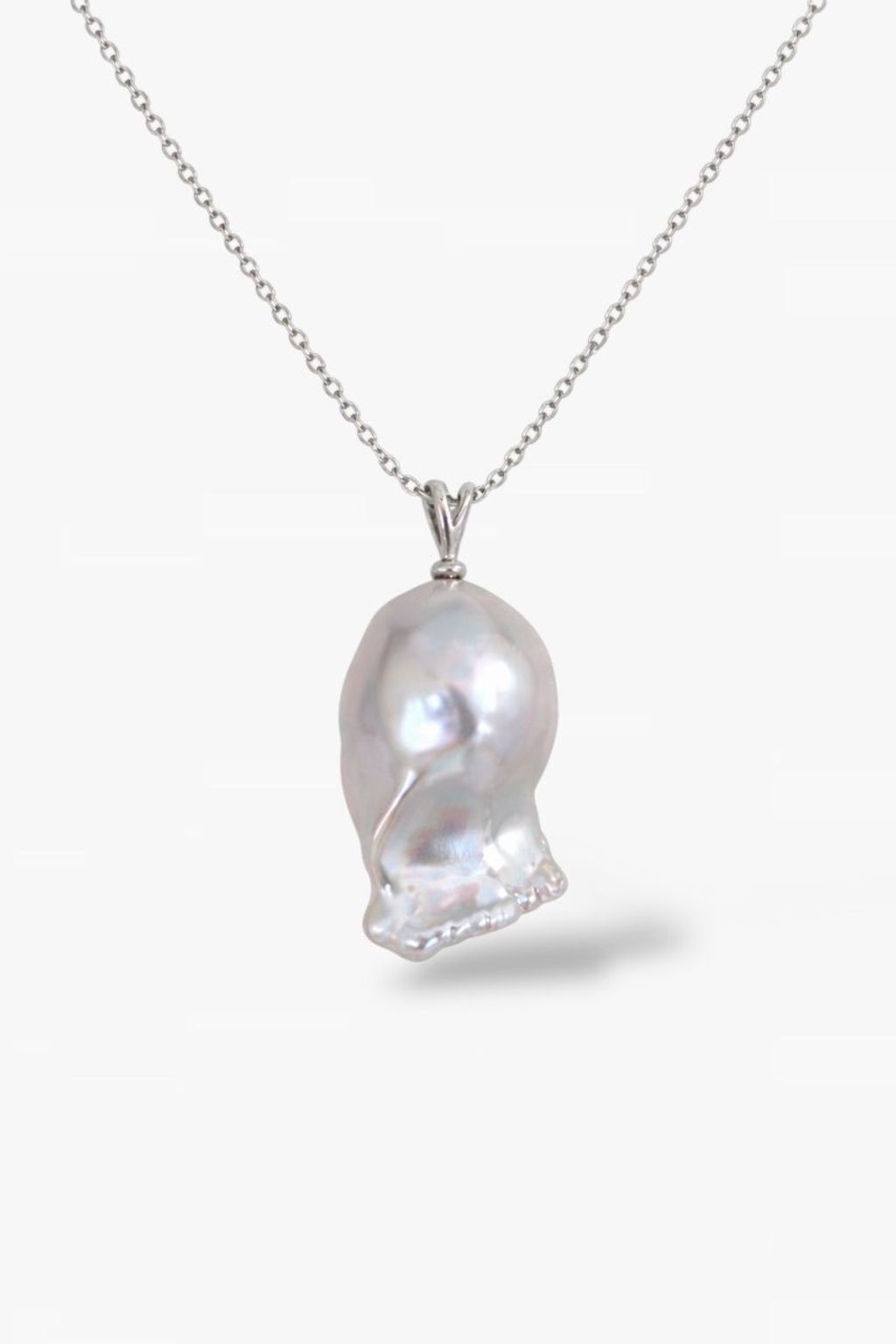 WhatsApp Image 2026-01-28 at 8.23.57 PM