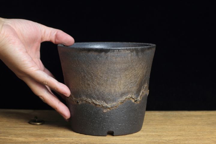 巨鳳91.JPG