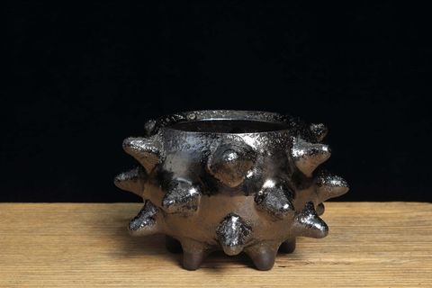 阿5 (3).jpg