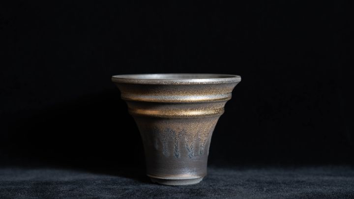D2 (2)