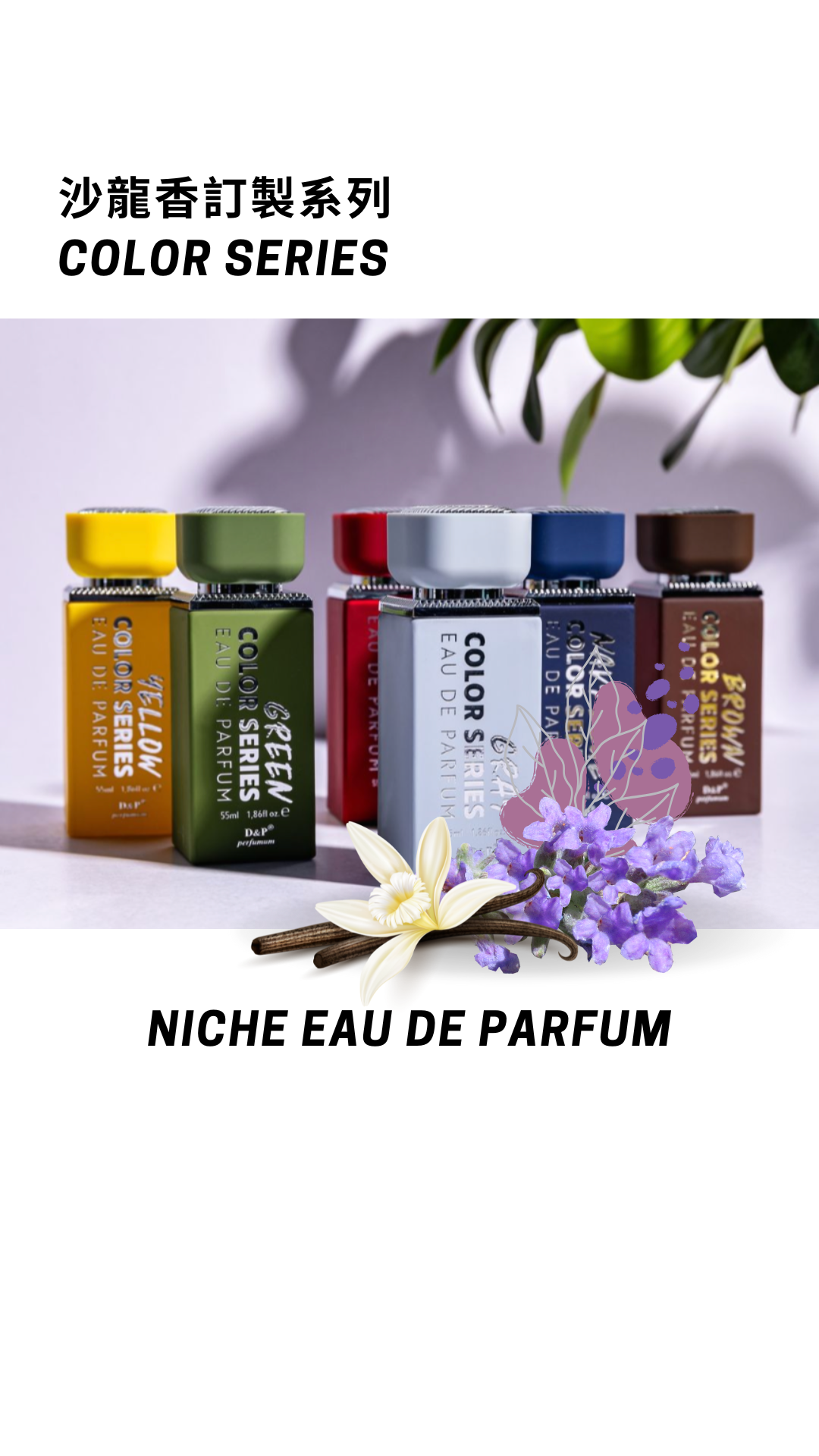 edp-colors