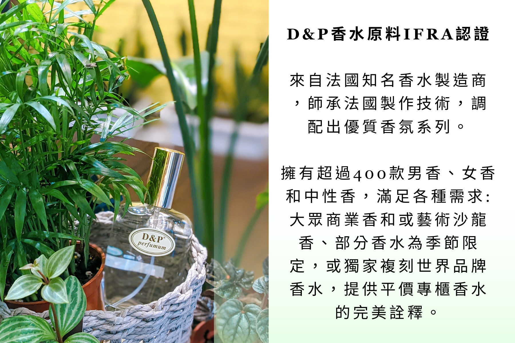 官網用圖 (2)