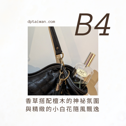 B4_burberry_classic