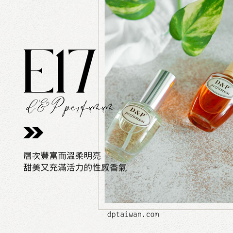 E17_magnetism