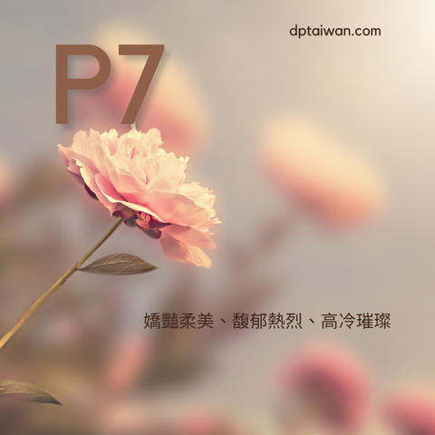 P series_20260628_221952_0000