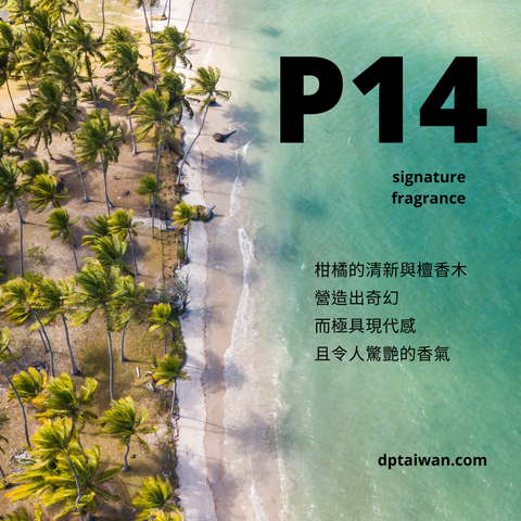 P14_phantom